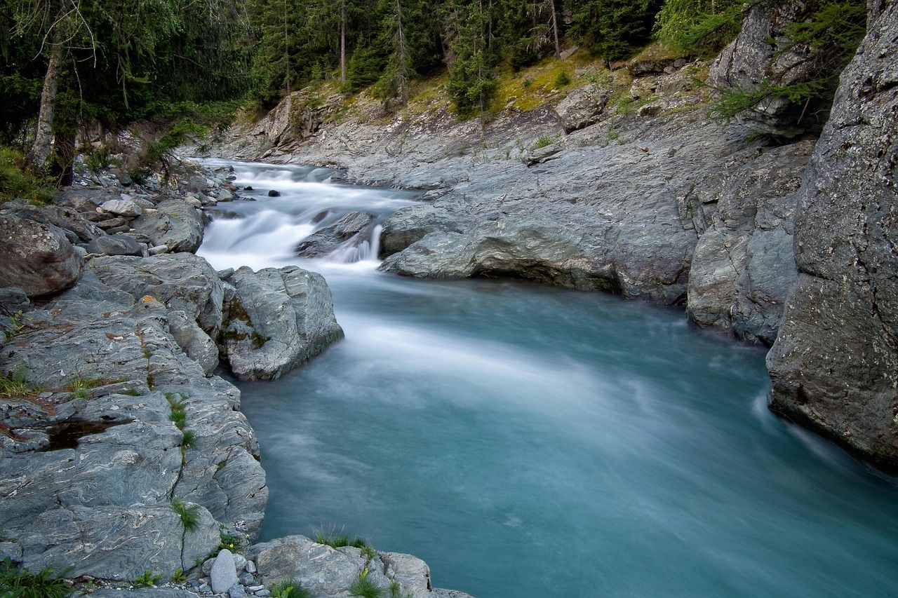 découvrez tout sur l'environnement, ses enjeux, la protection de la nature et les actions pour un avenir durable.