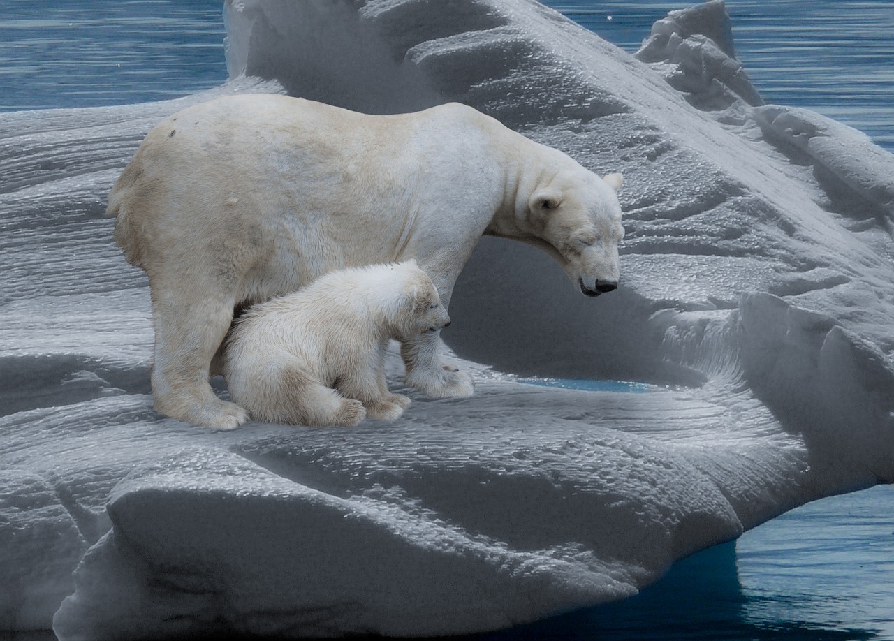 découvrez l'impact du changement climatique sur notre planète, les causes humaines et naturelles, ainsi que des solutions durables pour préserver notre environnement et garantir un avenir meilleur.