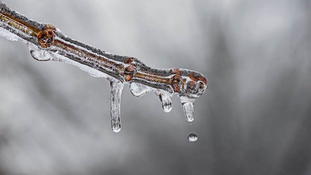 découvrez les dernières avancées en matière de simulation climatique, un outil essentiel pour comprendre les impacts du changement climatique et anticiper l'avenir de notre planète. plongez dans un monde de données et de modèles qui éclairent les enjeux environnementaux actuels.