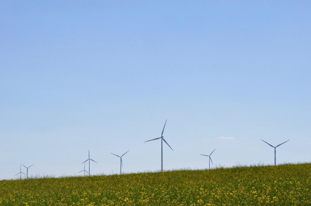 découvrez les enjeux et solutions de la transition écologique pour un avenir durable et respectueux de l'environnement.