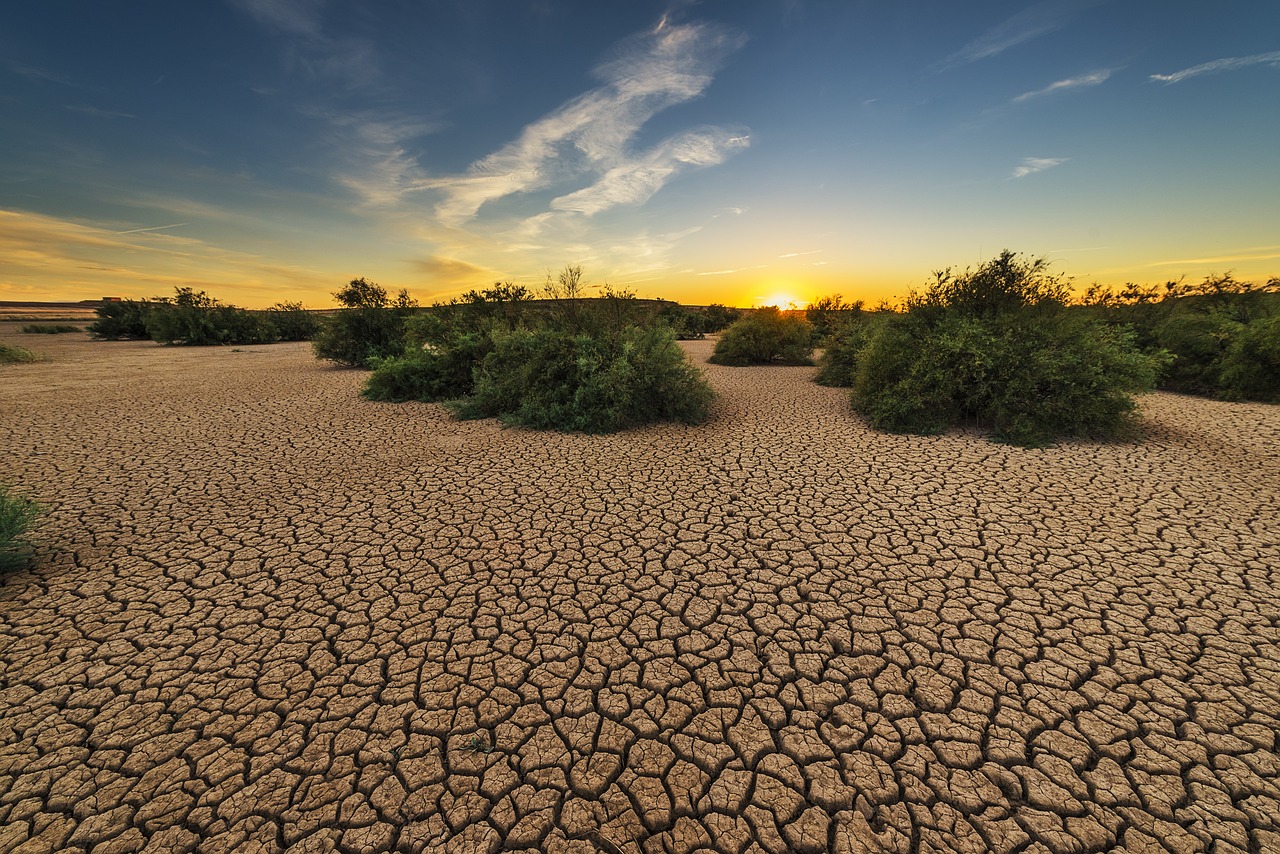 découvrez les impacts de la sécheresse sur l'environnement, l'agriculture et la société. explorez des solutions pour faire face à ce phénomène climatique croissant et préservez nos ressources.