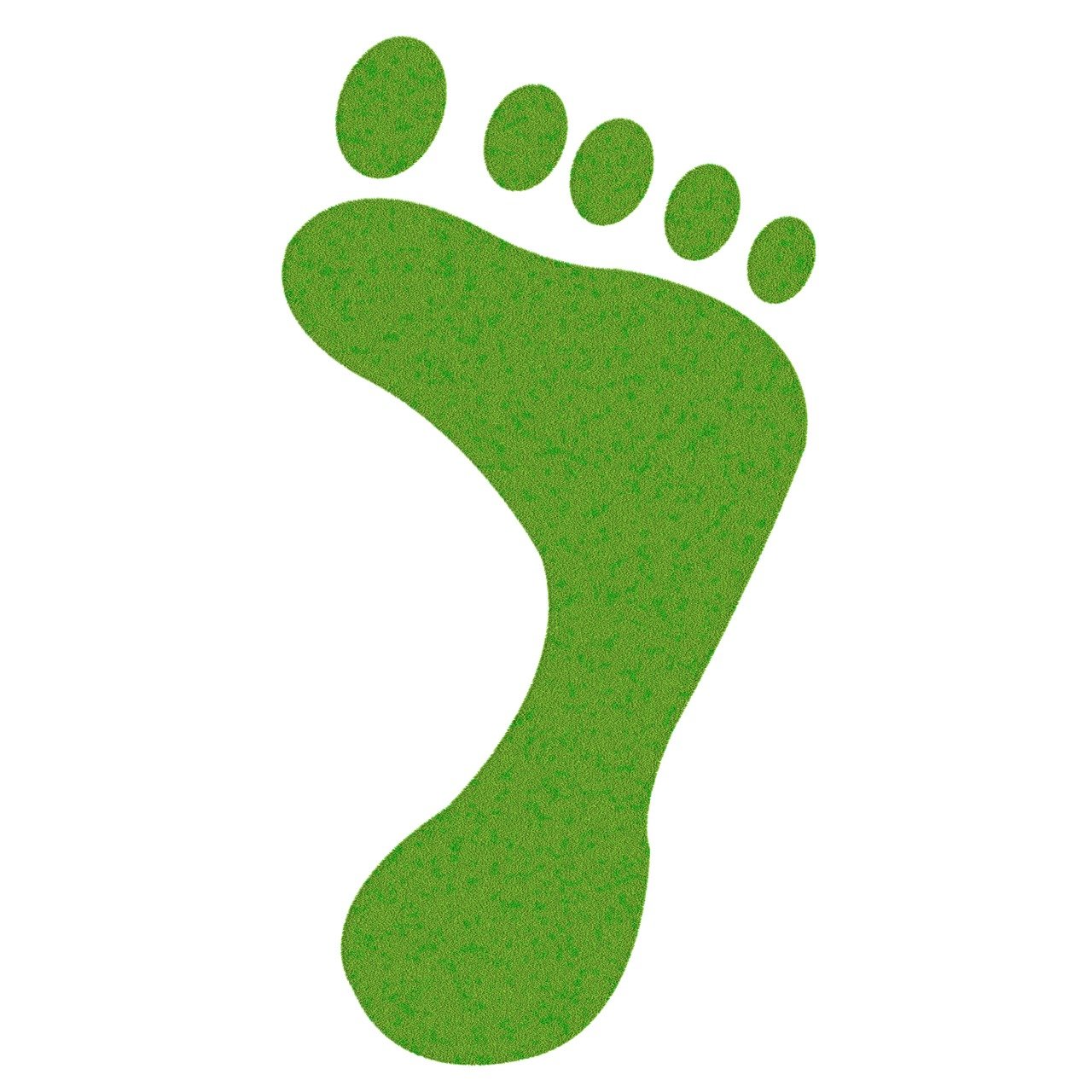 découvrez l'importance de la sensibilisation à l'environnement et apprenez comment des gestes simples peuvent avoir un impact positif sur notre planète. engagez-vous pour un avenir durable et protégez notre écosystème.
