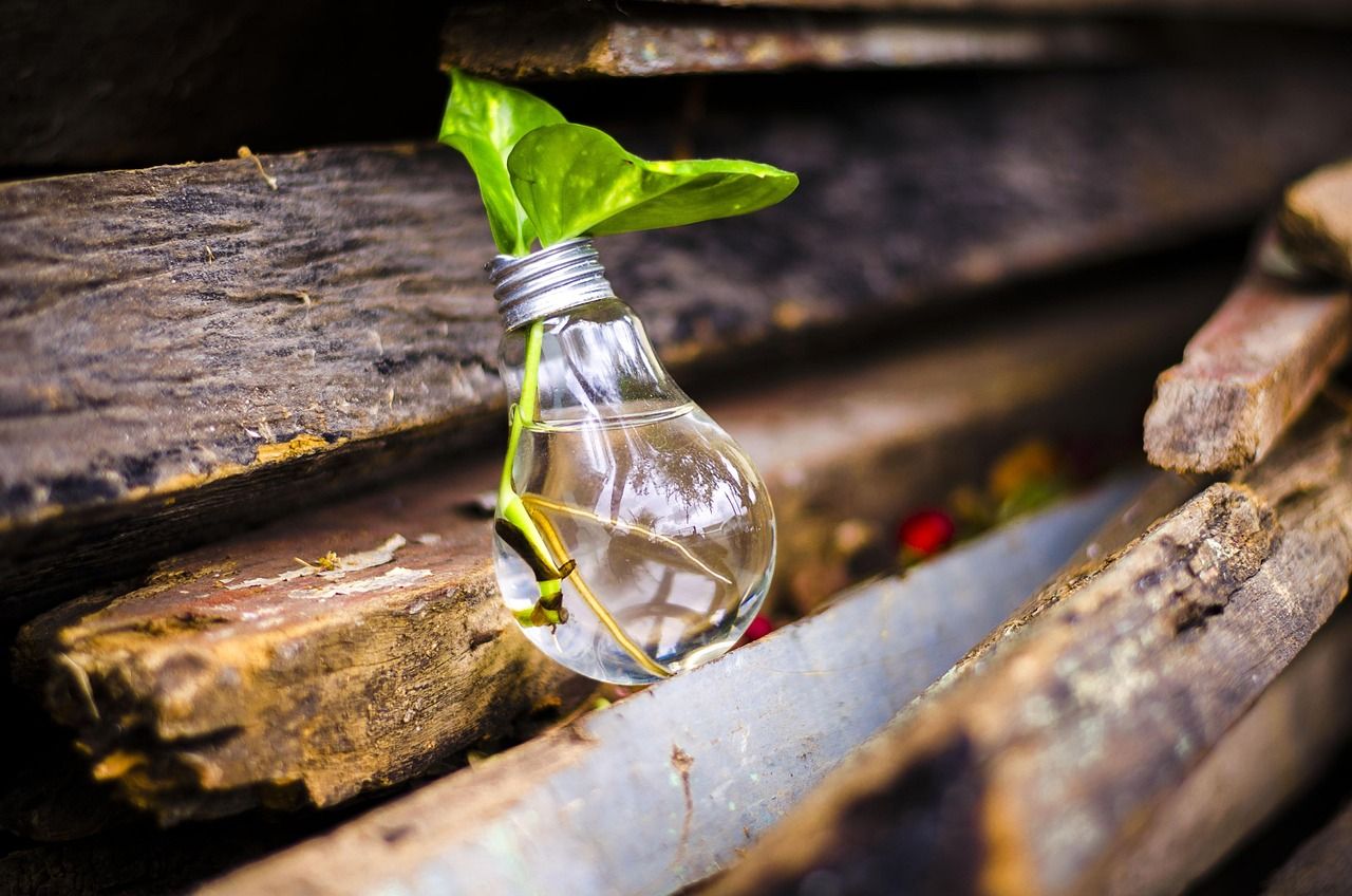 découvrez l'upcycling, une démarche éco-responsable qui transforme les objets et matériaux usagés en créations uniques et durables. adoptez un mode de vie créatif et respectueux de l'environnement.