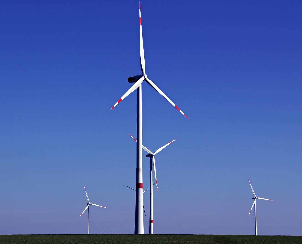 découvrez les enjeux et solutions de la transition écologique pour un avenir durable et respectueux de l'environnement.