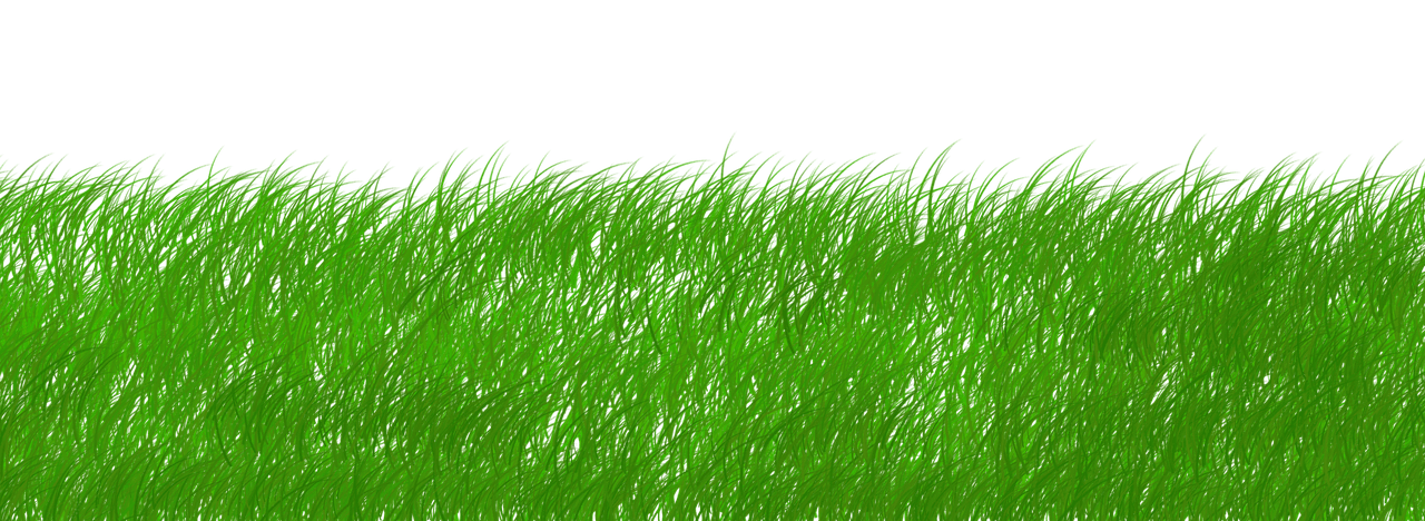 découvrez des stratégies et pratiques durables pour préserver l'environnement et promouvoir un avenir responsable.