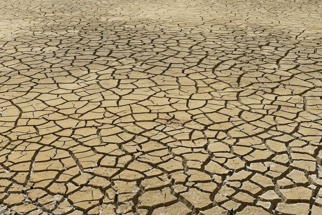 découvrez les enjeux cruciaux du changement climatique, ses impacts sur la planète, ainsi que les solutions durables pour protéger notre environnement et assurer un futur meilleur.