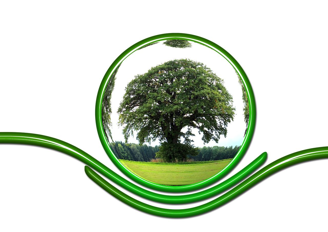 découvrez l'importance de la conservation pour préserver notre planète. apprenez des stratégies efficaces et des actions simples pour protéger la biodiversité et réduire votre empreinte écologique. ensemble, cultivons un avenir durable.