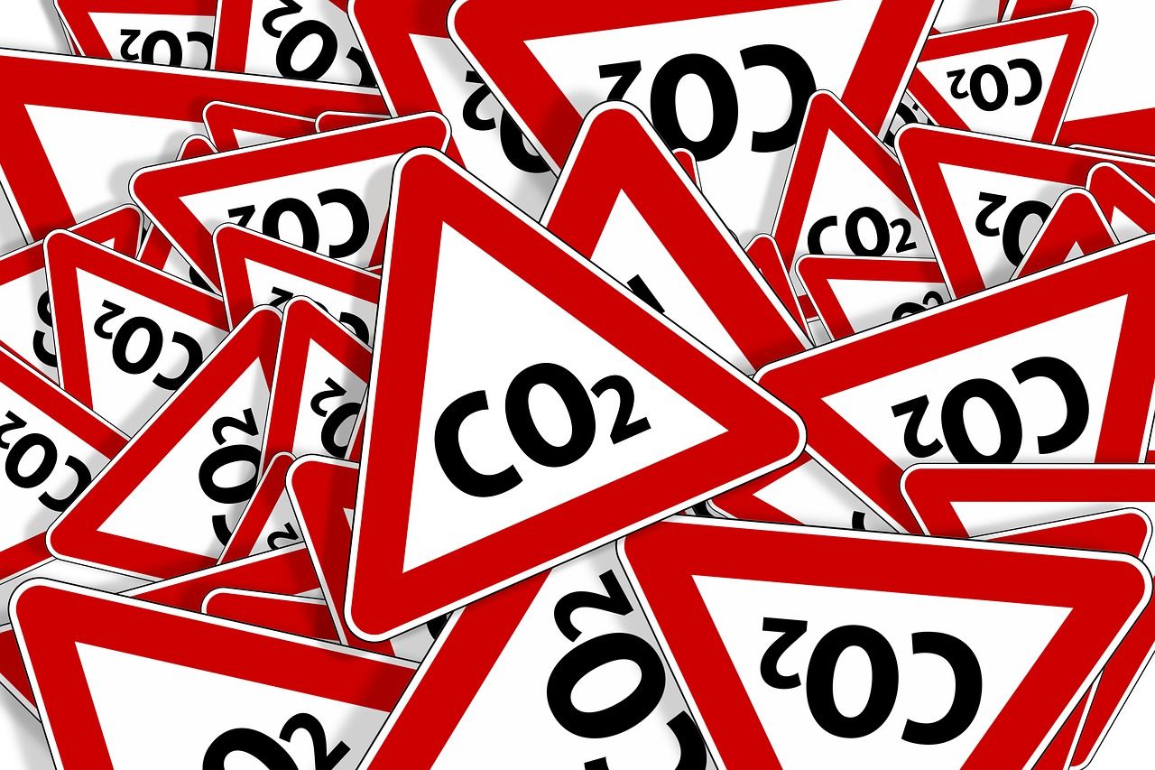 découvrez les enjeux et les impacts du changement environnemental, ainsi que les solutions pour préserver notre planète face aux transformations globales.