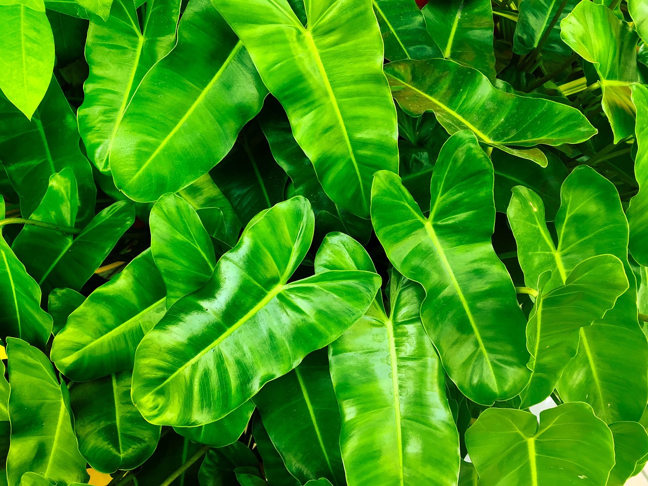 découvrez les politiques environnementales essentielles pour protéger notre planète. explorez les initiatives durables, les réglementations écologiques et les stratégies innovantes visant à réduire l'impact environnemental et à promouvoir un avenir durable.