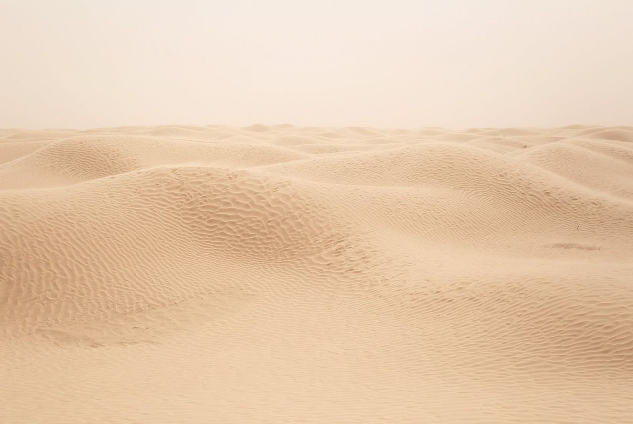 découvrez l'afrique, un continent riche en cultures, paysages variés et histoire fascinante. explorez ses traditions, sa faune exceptionnelle et ses destinations uniques.