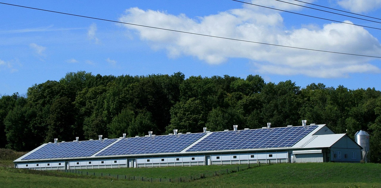 découvrez l'importance des ressources naturelles, leur impact sur l'environnement et l'économie, ainsi que les stratégies durables pour les préserver et les gérer efficacement.