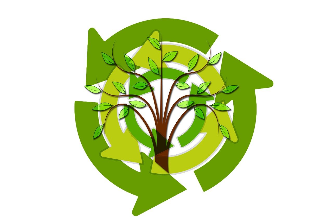 découvrez l'importance de la durabilité dans notre société moderne, les pratiques écologiques à adopter et comment chaque individu peut contribuer à un avenir plus vert et responsable.