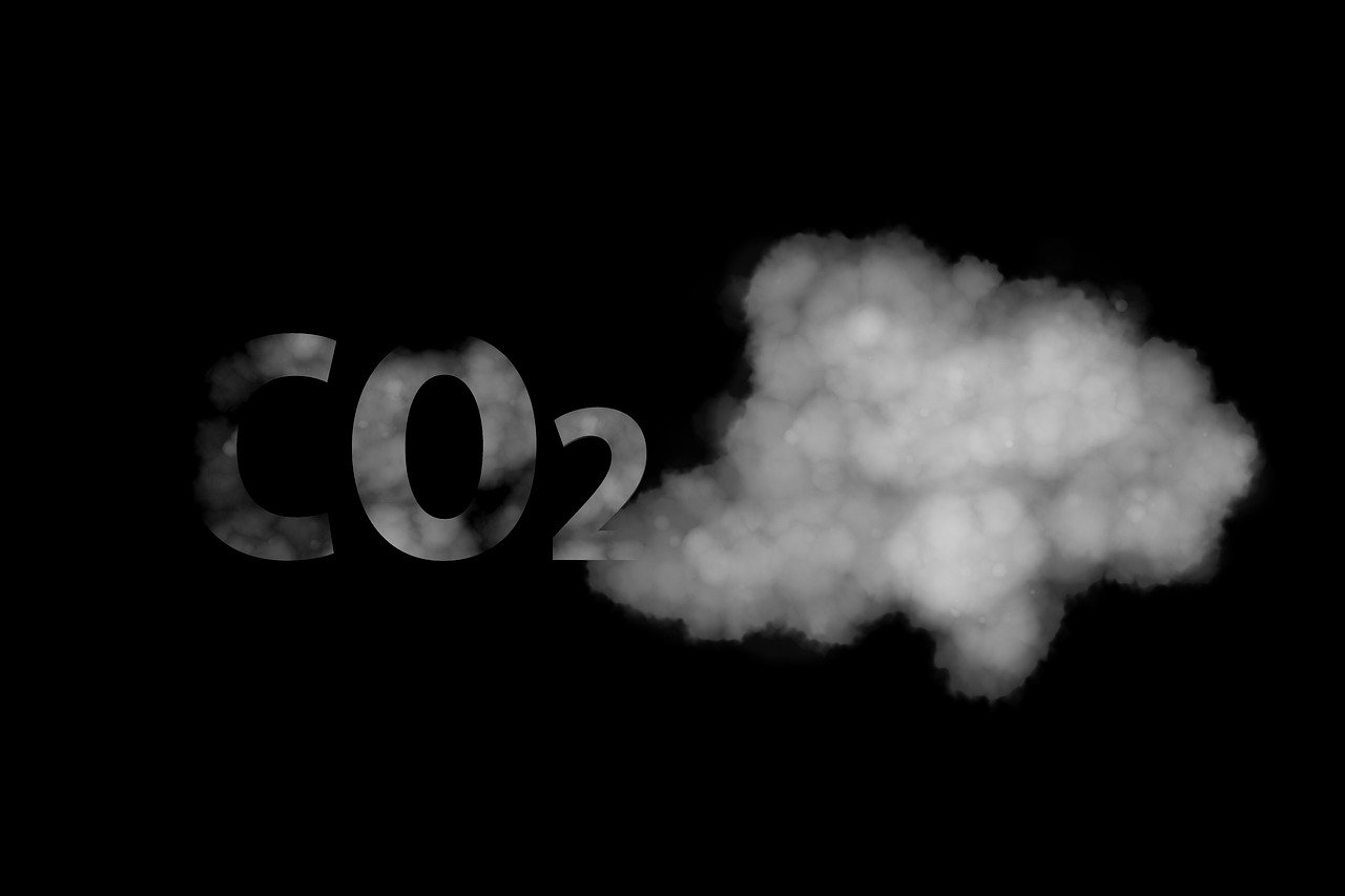 découvrez les causes, les impacts et les solutions face au changement climatique pour protéger notre planète et assurer un avenir durable.