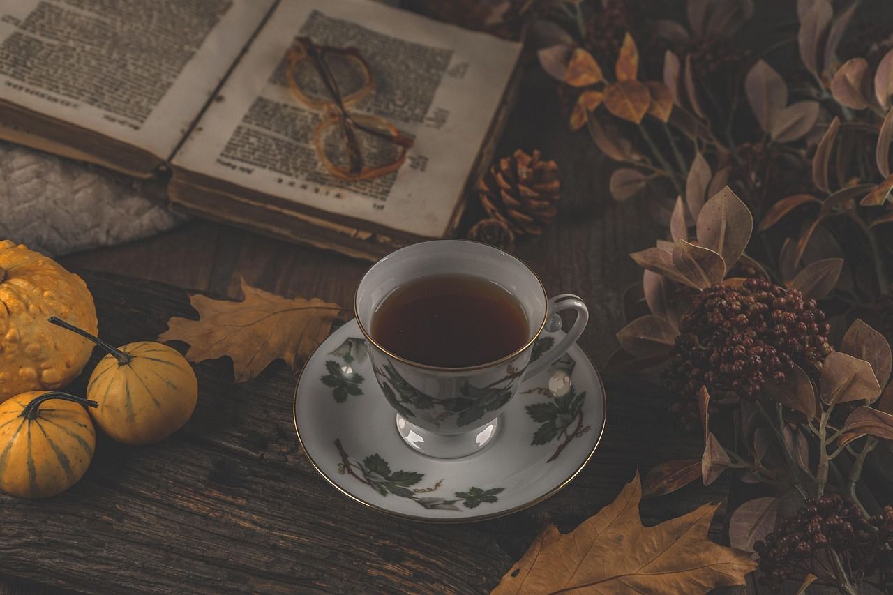 découvrez la beauté de l'automne avec ses couleurs chaudes, ses paysages enchanteurs et ses moments cosy à partager.