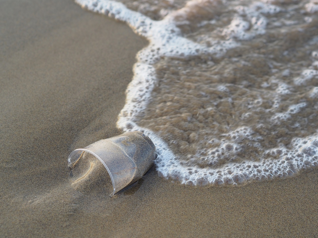découvrez des stratégies efficaces pour la réduction du plastique dans votre quotidien. apprenez comment adopter des pratiques durables, diminuer votre empreinte écologique et contribuer à la protection de l'environnement grâce à des alternatives respectueuses de la planète.