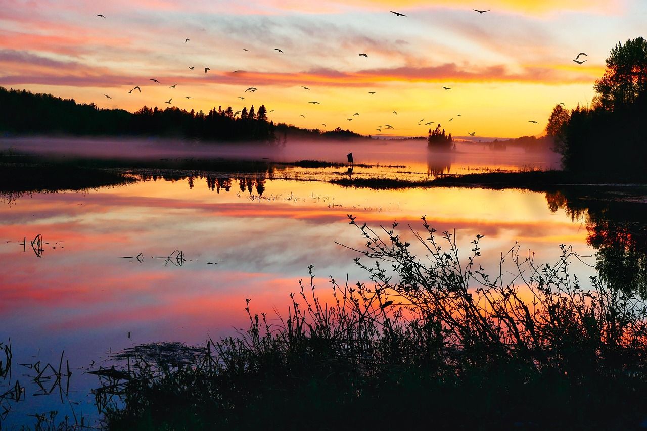 découvrez les principes de la planification écologique pour un développement durable respectueux de l'environnement et des ressources naturelles.