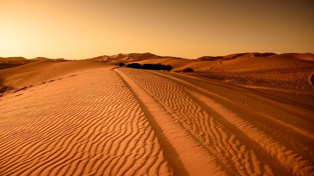 découvrez les causes, les impacts et les solutions face à la sécheresse, un phénomène climatique majeur affectant l'environnement et l'agriculture.