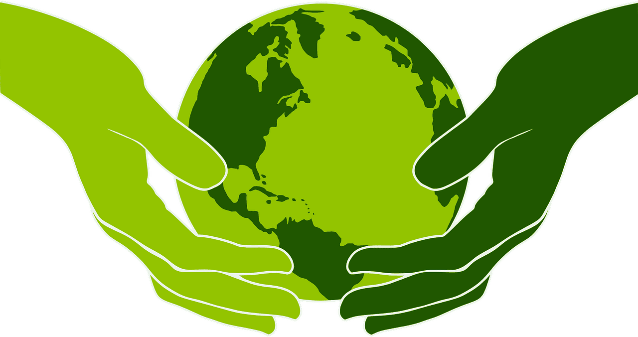 découvrez l'importance de la protection des sols dans la préservation de notre environnement. apprenez des méthodes durables et des pratiques efficaces pour maintenir la santé des terres, favoriser la biodiversité et lutter contre l'érosion.