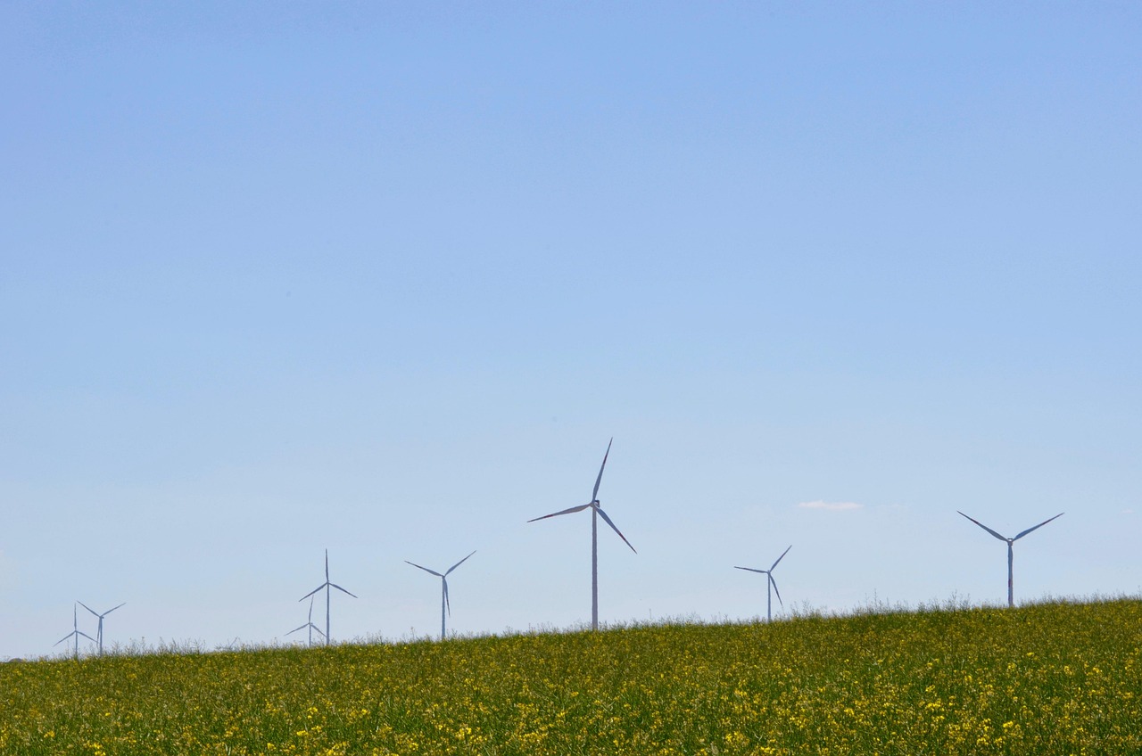 découvrez les enjeux et solutions de la transition écologique pour un avenir durable, alliant innovation, protection de l'environnement et responsabilité sociale.
