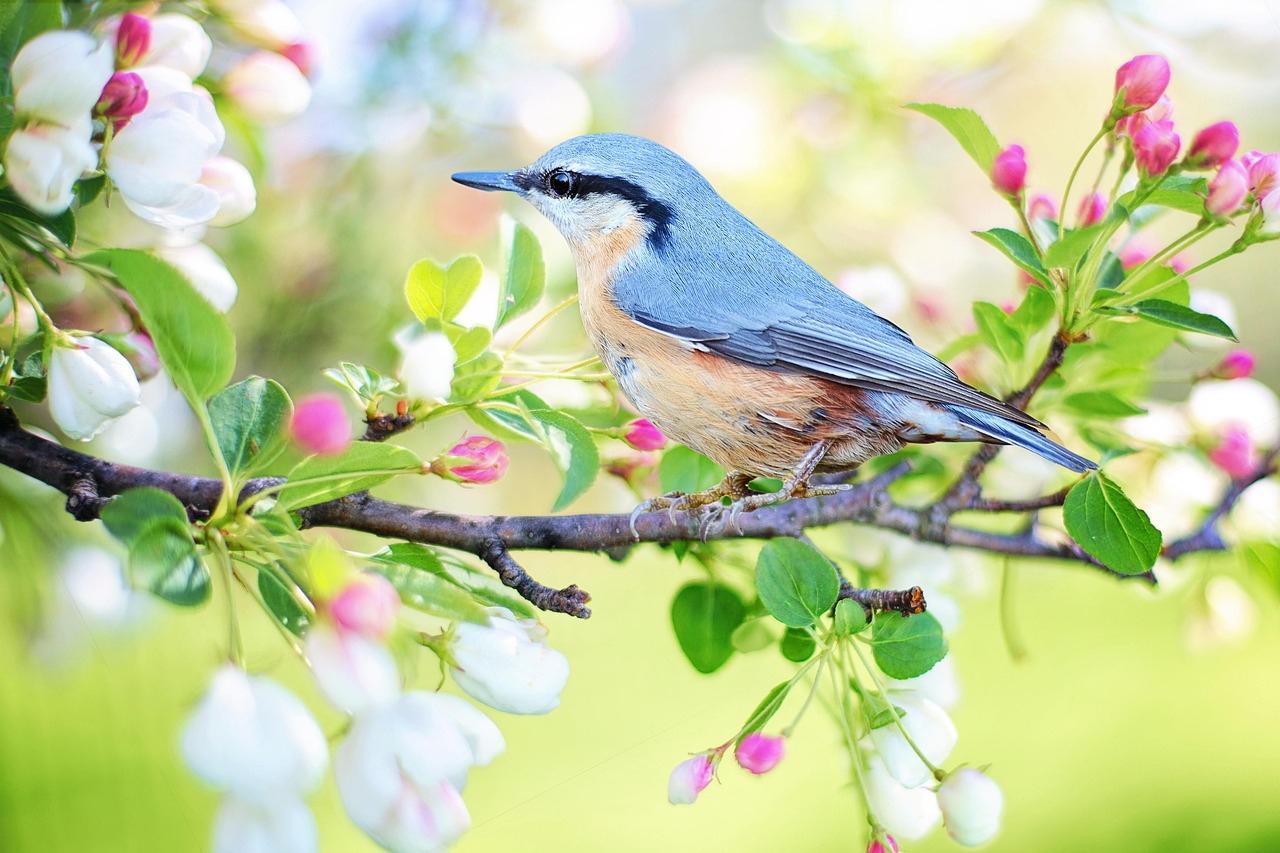 découvrez l'importance des écosystèmes dans notre environnement. apprenez comment ces systèmes complexes interagissent et influencent la biodiversité, le climat et notre qualité de vie. explorez les différents types d'écosystèmes et leur rôle vital dans la durabilité de notre planète.