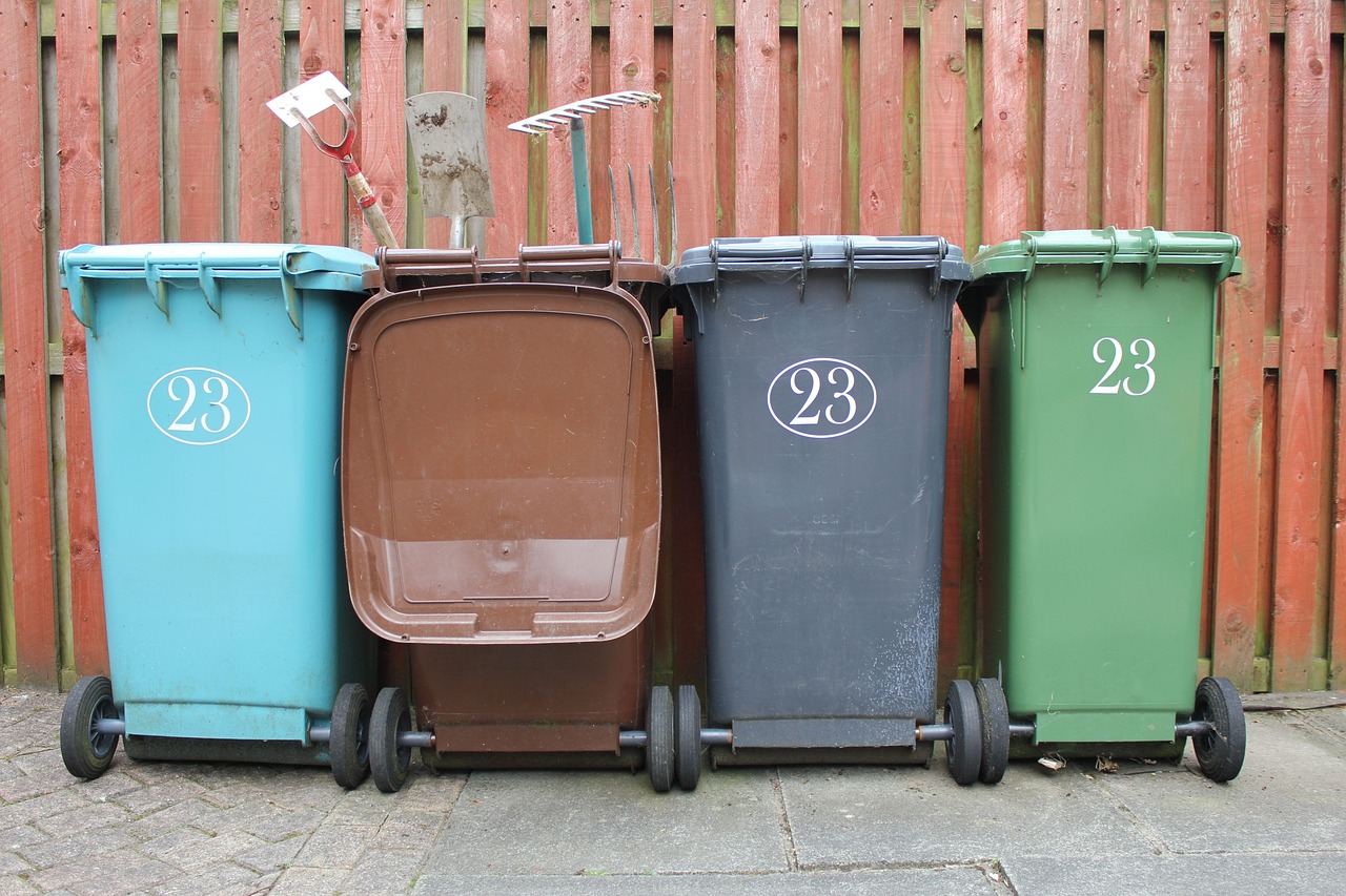 service environnemental jeunesse : engagez les jeunes dans des actions concrètes pour protéger la planète et sensibiliser à l'écologie.