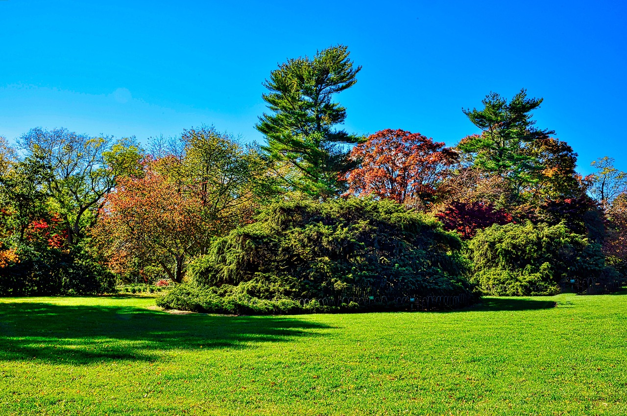 découvrez l'importance de la plantation d'arbres pour l'environnement et les bienfaits qu'elle apporte à notre planète. apprenez comment vous pouvez contribuer à cette initiative essentielle et participer à la reforestation pour un avenir plus vert.