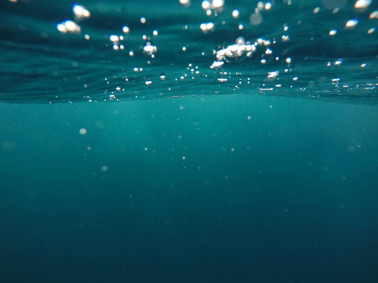découvrez des aventures marines inoubliables alliant exploration, sports nautiques et moments de détente au cœur des plus beaux paysages maritimes.