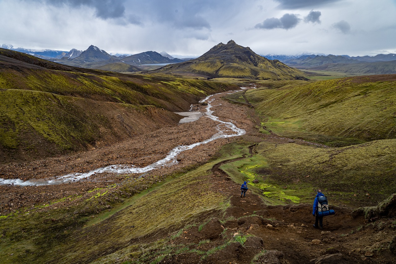 découvrez l'importance de la conservation des terres pour la protection de notre environnement. explorez des stratégies durables et des pratiques innovantes qui préservent la biodiversité, l'écosystème et assurent un avenir durable pour les générations à venir.