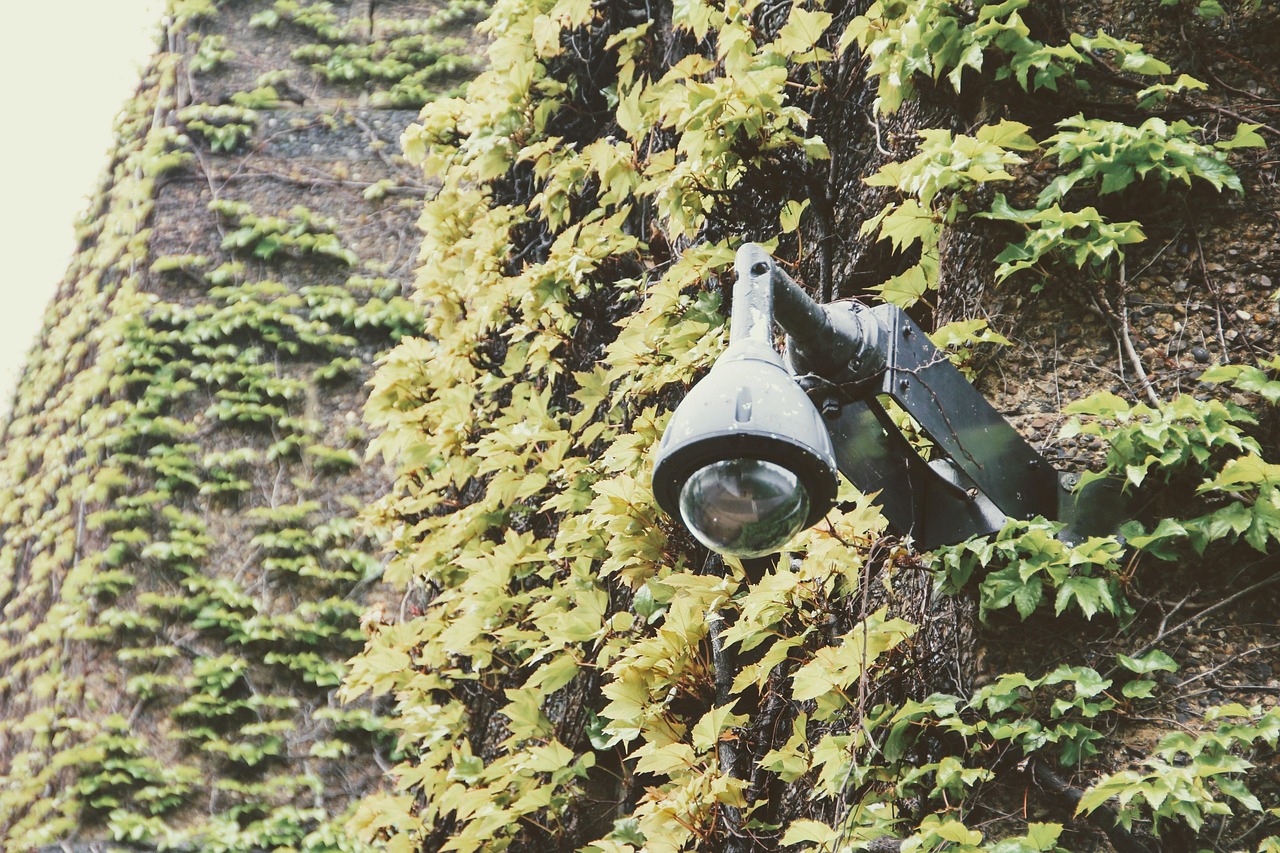 découvrez les enjeux et les solutions de la surveillance transfrontalière, un domaine clé pour assurer la sécurité et la coopération internationale face aux défis globaux.