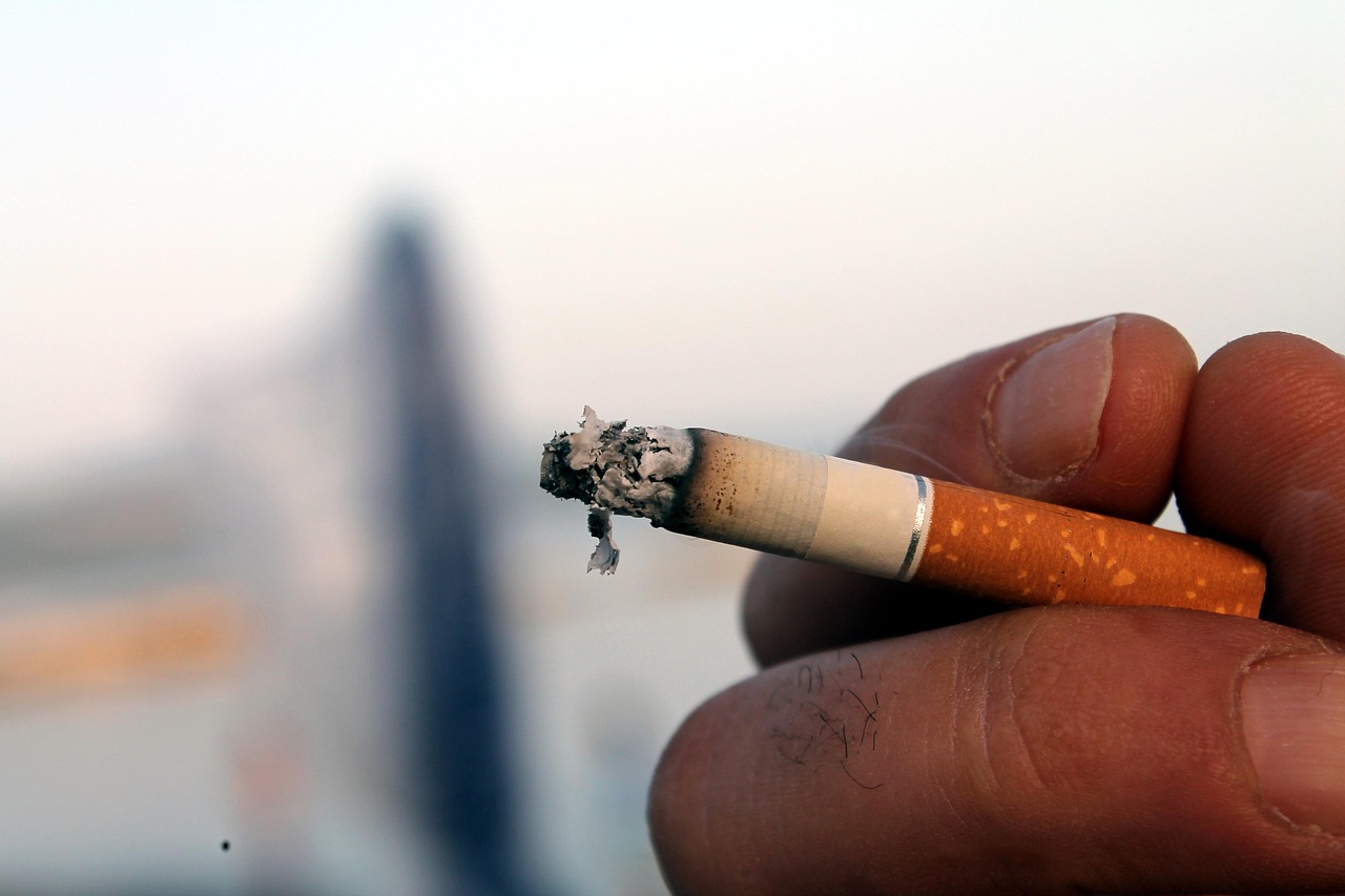 one health est une approche intégrée qui reconnaît l'interconnexion entre la santé humaine, animale et environnementale pour prévenir les maladies et promouvoir un bien-être global.