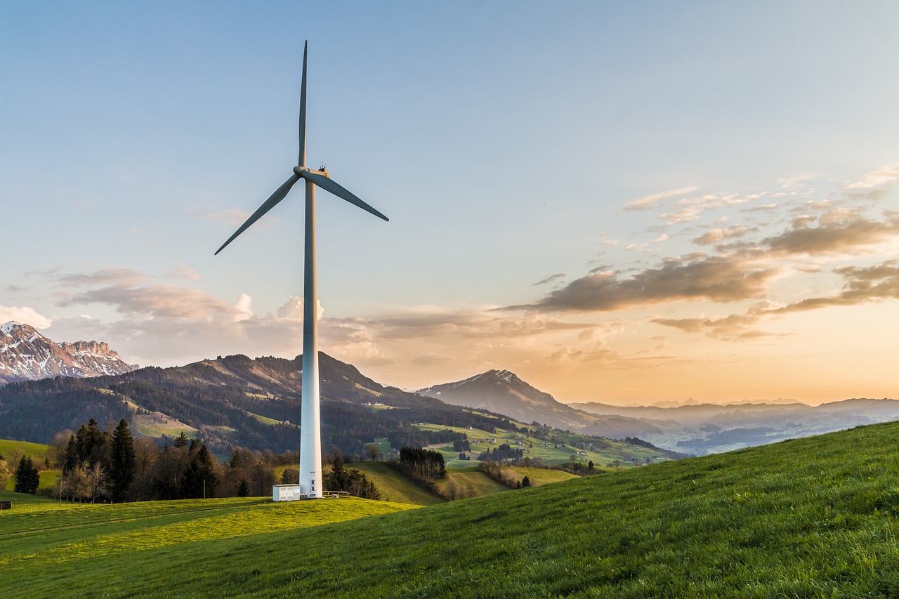 découvrez les enjeux et solutions de la transition écologique pour un avenir durable et respectueux de l'environnement.