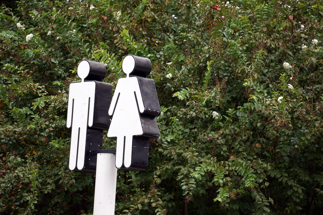 découvrez les enjeux de l'inégalité de genre dans nos sociétés modernes. cet article explore les causes, les conséquences et les solutions potentielles pour promouvoir l'égalité entre les sexes, tout en mettant en lumière les luttes menées à travers le monde.