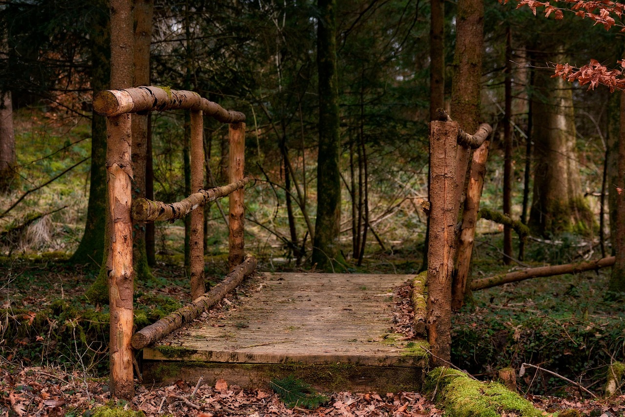 découvrez comment la transition écologique transforme notre avenir en intégrant des pratiques durables, en préservant nos ressources naturelles et en favorisant un mode de vie respectueux de l'environnement. explorez des solutions innovantes pour un monde plus vert.