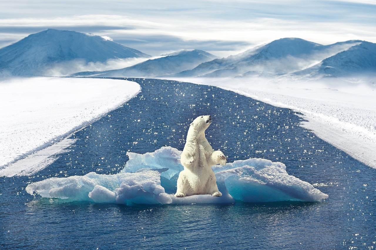 découvrez les dernières informations, analyses et actualités sur le climat : changements climatiques, enjeux environnementaux, solutions durables et actions pour préserver notre planète.