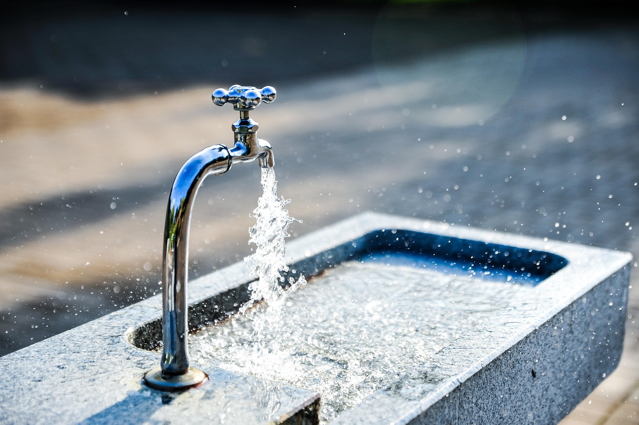 les puits de carbone sont des réservoirs naturels ou artificiels qui absorbent et stockent le dioxyde de carbone, aidant ainsi à atténuer le changement climatique.