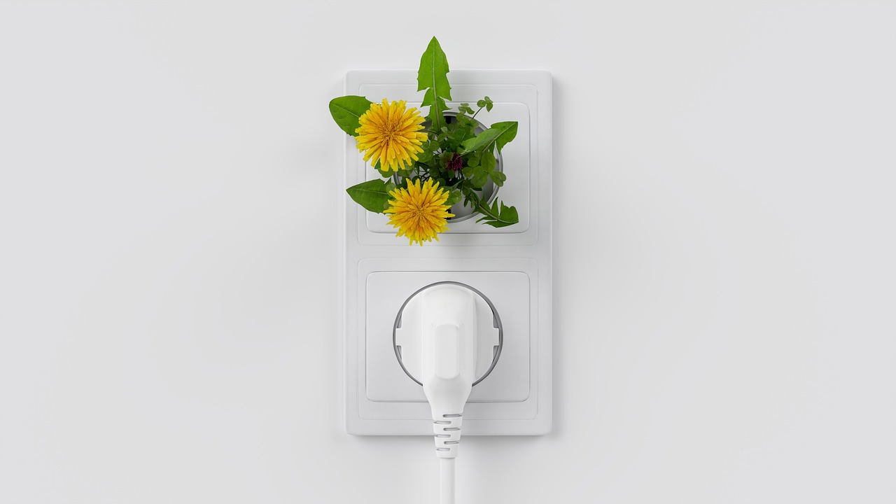 découvrez les enjeux et les solutions de la transition écologique pour un avenir durable et respectueux de l'environnement.