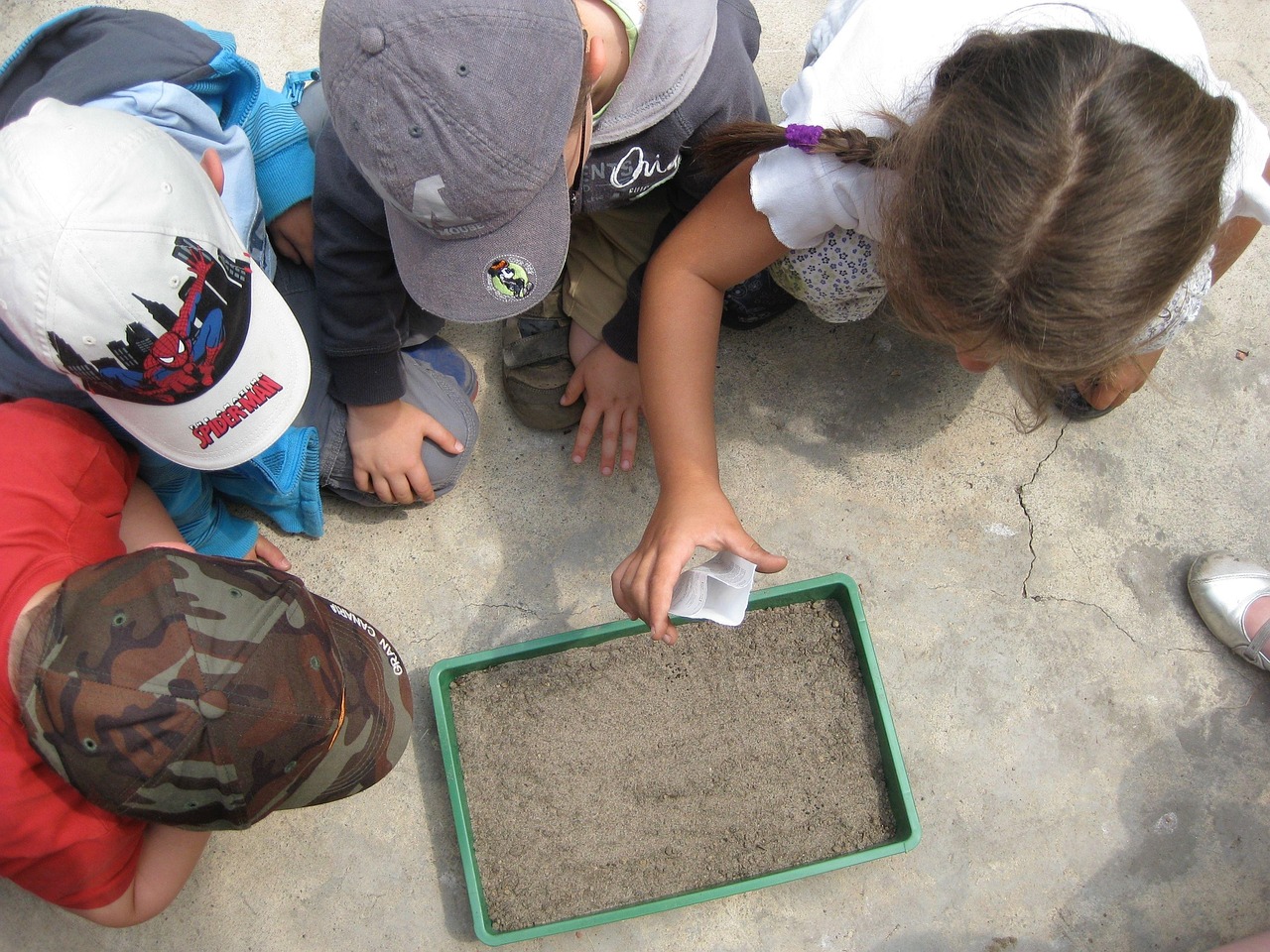 découvrez l'importance de l'éducation environnementale pour sensibiliser et agir en faveur de la protection de notre planète.