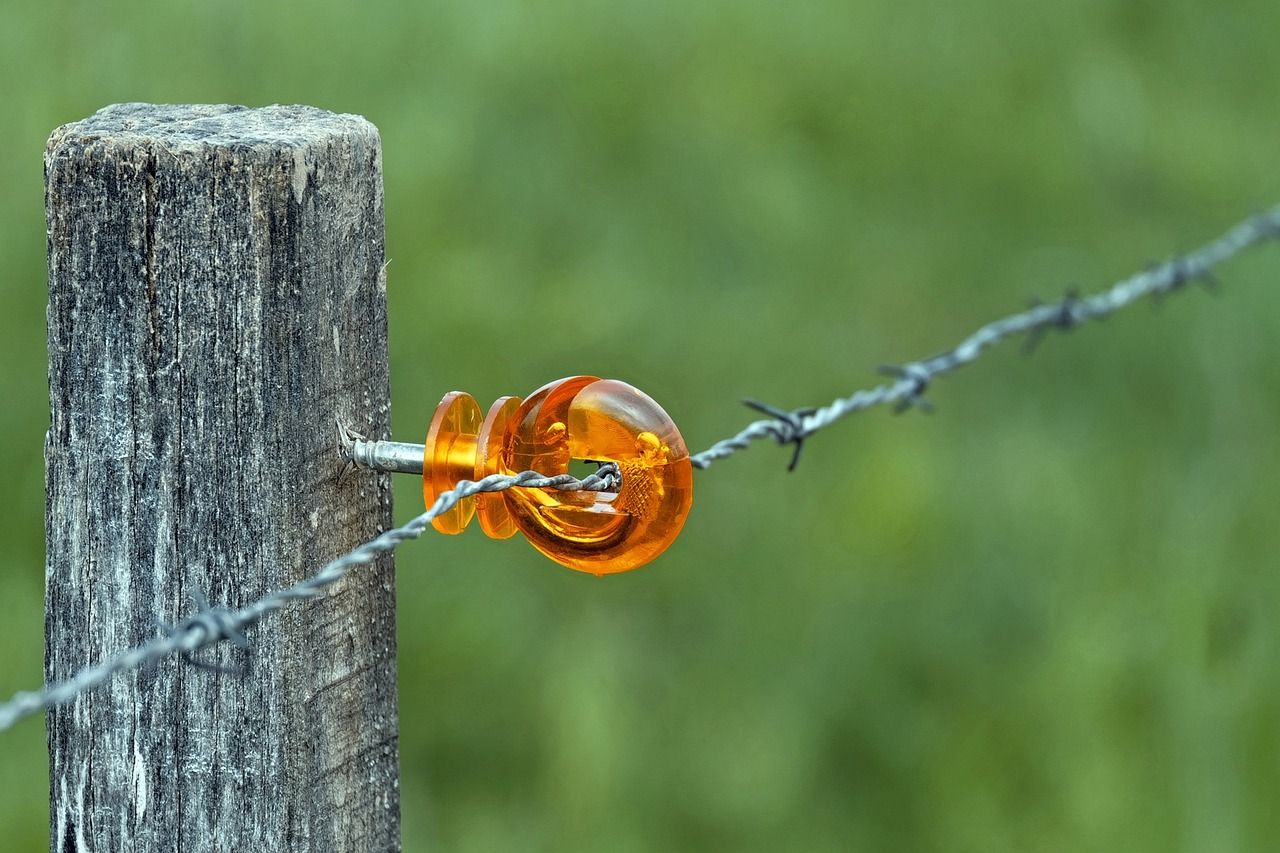 découvrez des stratégies efficaces pour réduire l'utilisation du plastique et adopter un mode de vie plus écologique et durable.