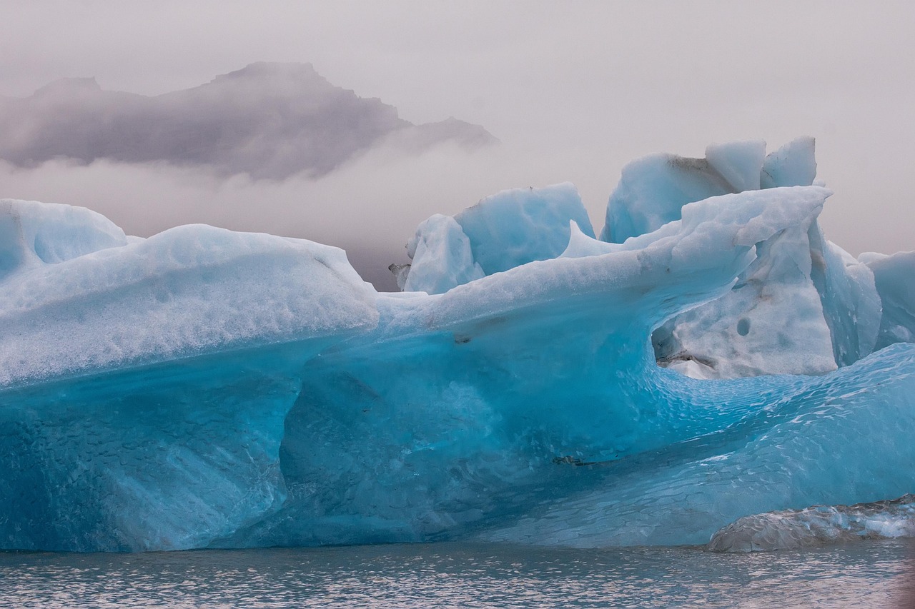 découvrez l'importance de la journée de la terre, un événement mondial dédié à la sensibilisation à la protection de notre planète. participez à des initiatives écologiques, apprenez à réduire votre empreinte carbone et célébrons ensemble notre précieux environnement.