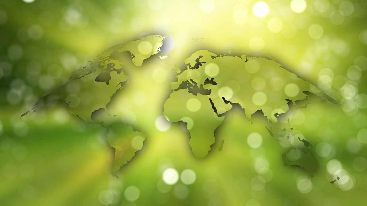 découvrez comment la durabilité transforme notre monde, en intégrant des pratiques responsables dans divers secteurs pour préserver notre planète pour les générations futures.