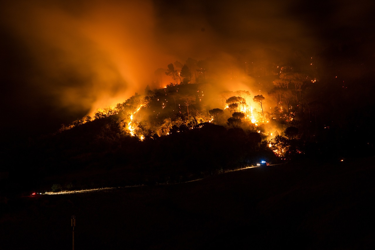 découvrez les enjeux cruciaux de l'urgence climatique et les actions indispensables pour préserver notre planète face au changement climatique.