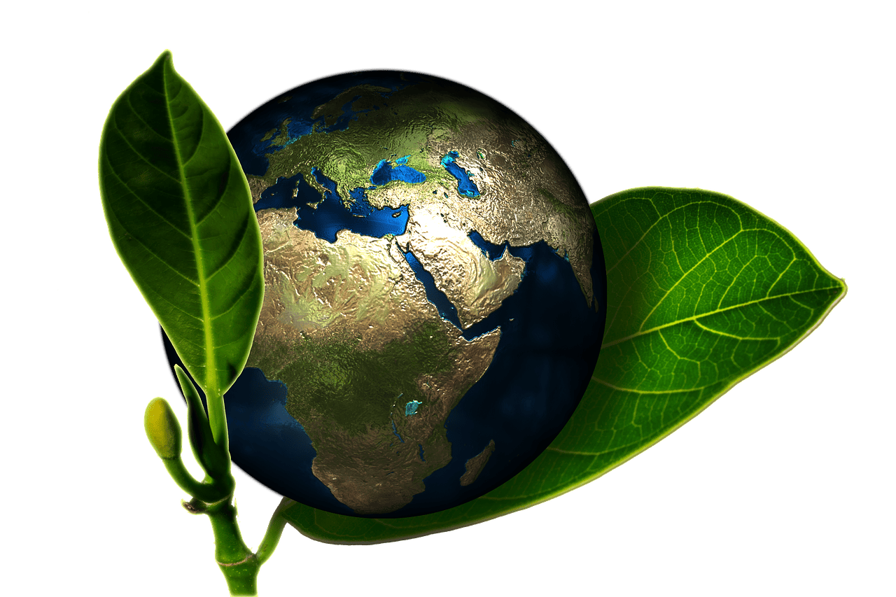 découvrez les enjeux et les initiatives clés du développement international pour promouvoir la coopération, la croissance économique et le bien-être global.