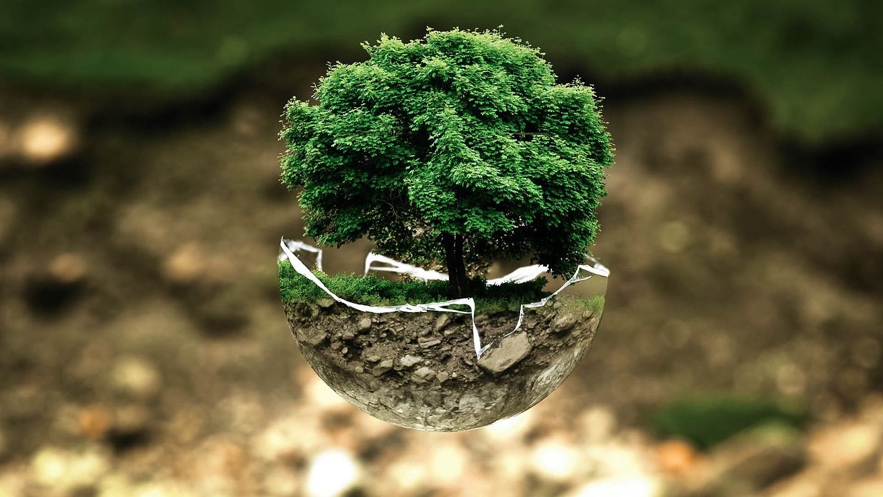 découvrez comment la cartographie environnementale aide à visualiser et à analyser les données écologiques pour une gestion durable des ressources naturelles. explorez les outils et techniques modernes qui permettent de mieux comprendre notre planète.
