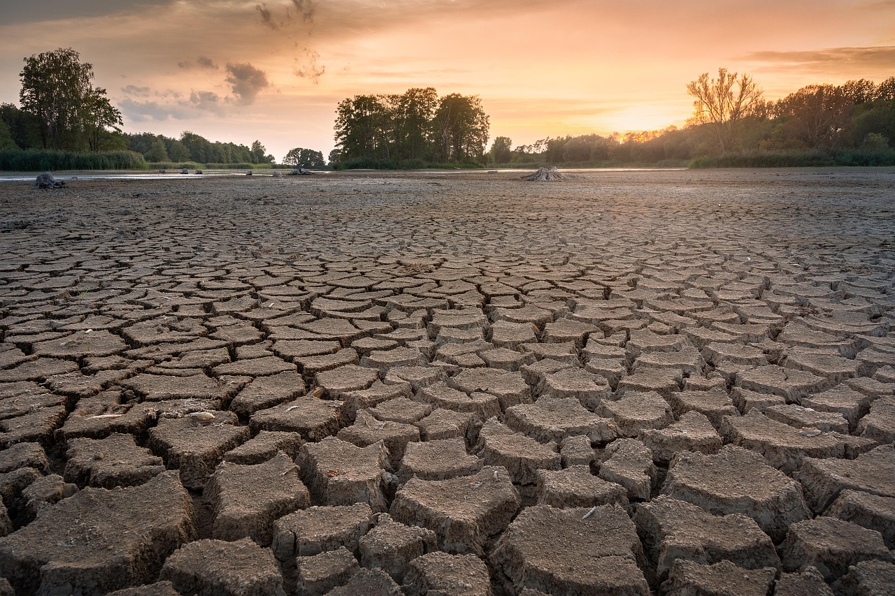 découvrez les impacts de la sécheresse sur notre environnement et nos ressources, ainsi que des solutions durables pour y faire face et préserver notre planète.