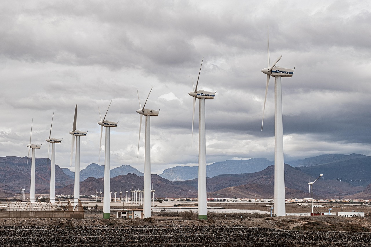 découvrez les enjeux et solutions de la transition écologique pour un avenir durable, alliant innovation, conservation des ressources et responsabilité environnementale.