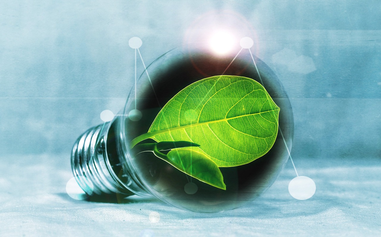 découvrez comment réaliser des économies tout en adoptant un mode de vie écologique grâce à nos conseils et astuces green savings.