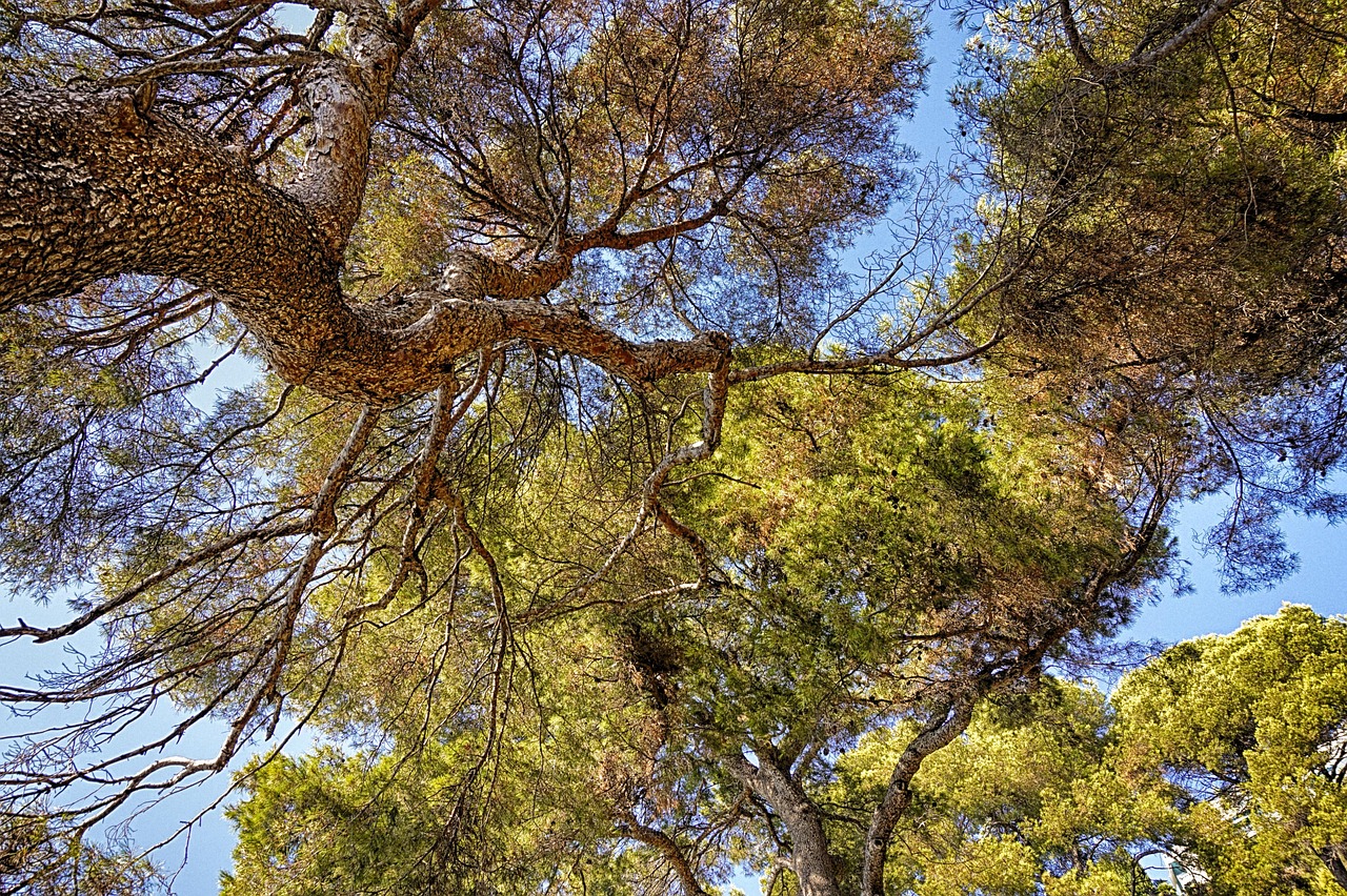 découvrez comment adopter une consommation durable pour réduire votre impact environnemental. des conseils pratiques et des astuces pour faire des choix responsables au quotidien.