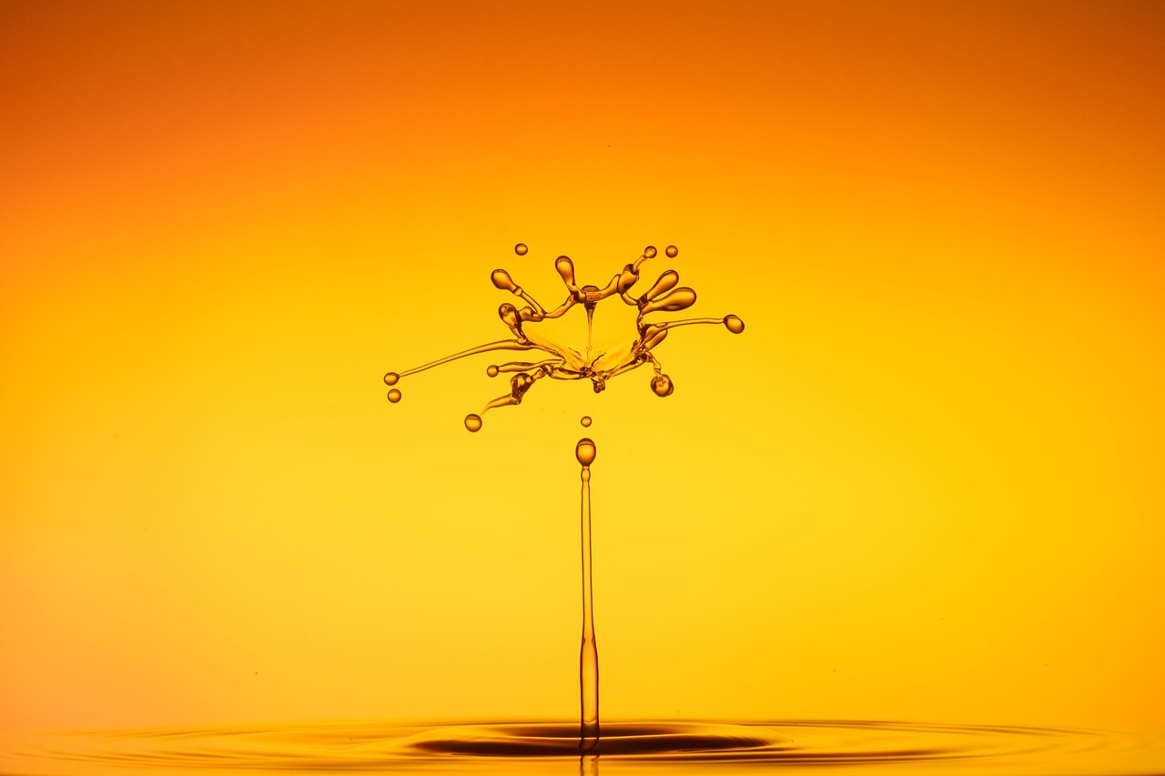 découvrez l'importance de l'eau dans notre vie quotidienne, ses bienfaits pour la santé et l'environnement, ainsi que des conseils pour une utilisation responsable et durable de cette ressource précieuse.