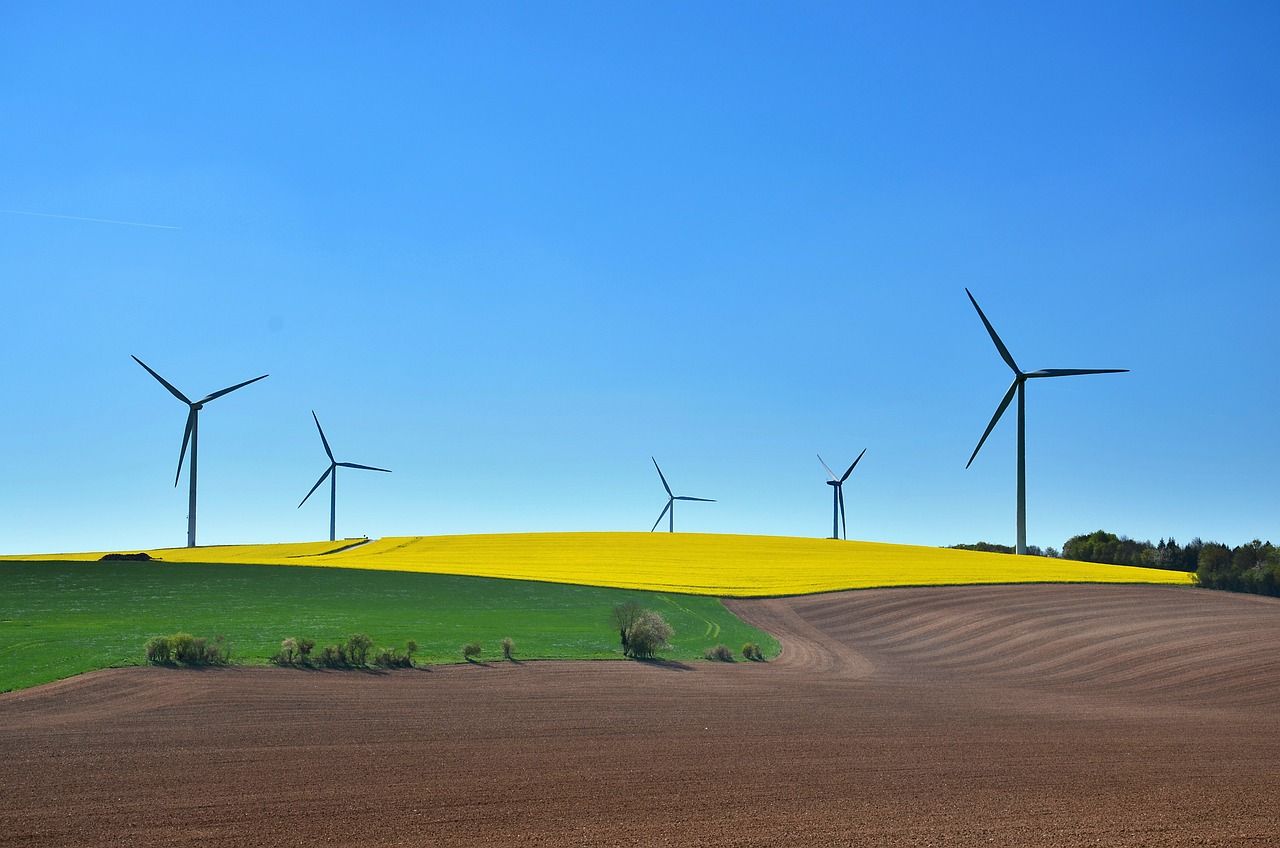 découvrez l'univers des éoliennes : leur fonctionnement, leurs avantages écologiques, et leur rôle clé dans la transition énergétique vers des sources d'énergie renouvelables.