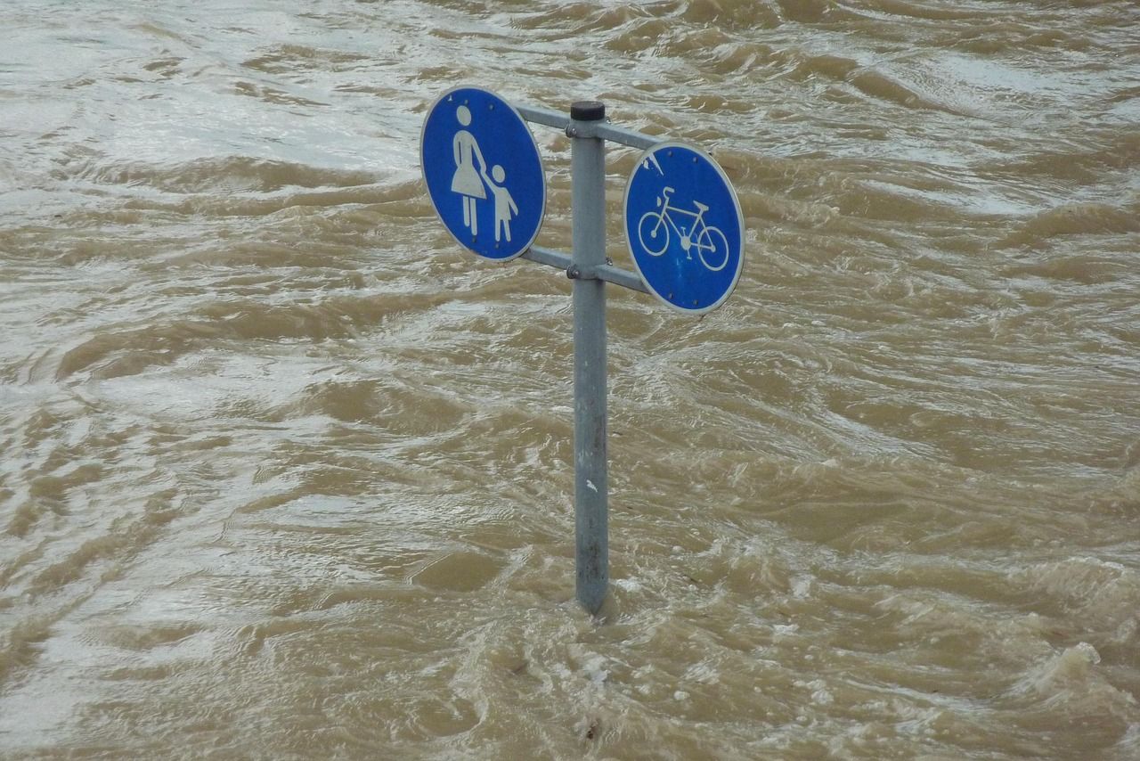 découvrez les différents types de catastrophes naturelles, leurs causes, leurs impacts sur l'environnement et comment s'y préparer efficacement.